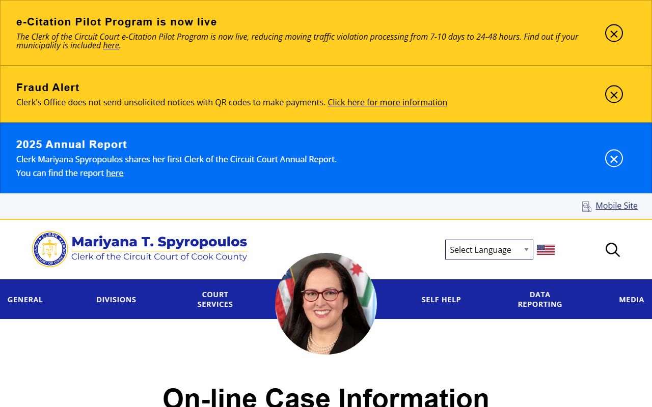 Cook County court records after jail arrest case information page
